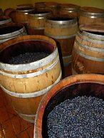 Torraccia di Chiusi