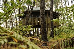 Federation Gardens & Possums Hideaway