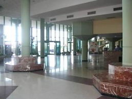 Patacona Green Holiday