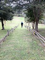 Parque Quilquico
