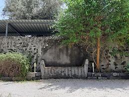 Hotel La Palma
