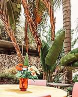 Hotel La Palma
