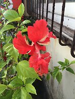 Goyah-so Guesthouse