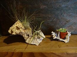 Goyah-so Guesthouse