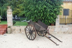 Case Damma