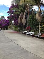 Palms Oasis Motel
