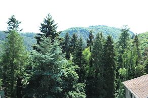 Hotel Engel im Salinental