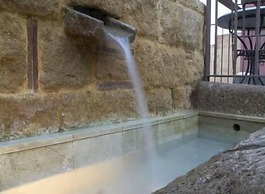 Badiula