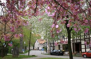 Kärntner Stubn