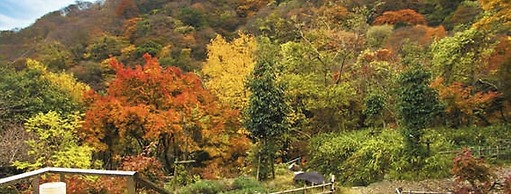 Takimotokan Yukinosato