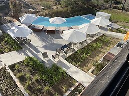 La Viuda De Jose Ignacio