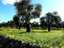 Borgo degli Ulivi
