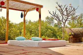 Moon Nest