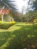 AIRMAN'S Pavillon