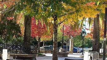 Barn Loft With Tree top Views