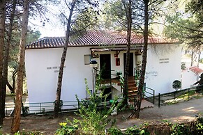 Rural Apartments Overlooking the Lake