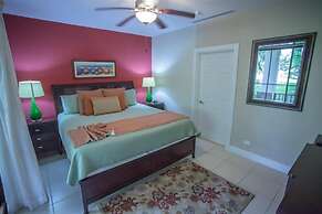 Pacifico L605 Casa Sommer