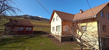 Sadyba U Vasylya