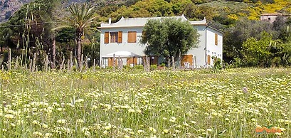 Villa Medina