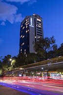 York Medellin, Curio Collection by Hilton