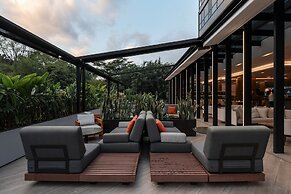 York Medellin, Curio Collection by Hilton