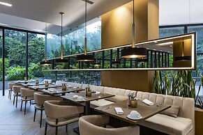 York Medellin, Curio Collection by Hilton
