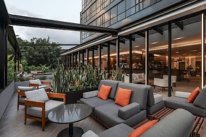 York Medellin, Curio Collection by Hilton