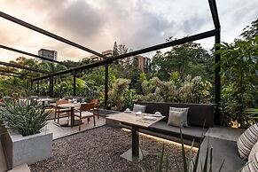 York Medellin, Curio Collection by Hilton