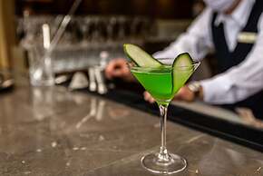 York Medellin, Curio Collection by Hilton