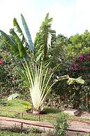 Africanhuts