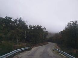 Abou-Hachem