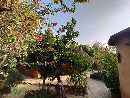 Campement Baobab