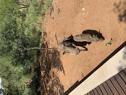 444 on Taaibos Bush Villa
