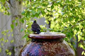The Eaglehawk Country House Hotel Maldon