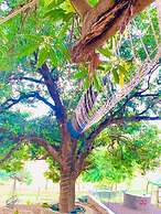 Morni Hills Resort