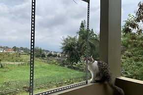 Green Homestay