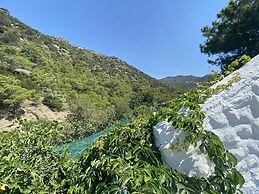 Oleander's Garden