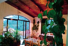 Oleander's Garden