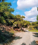 Oleander's Garden