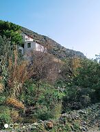 Oleander's Garden