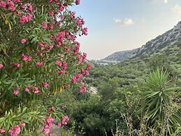 Oleander's Garden