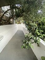 Oleander's Garden