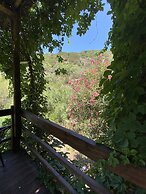 Oleander's Garden