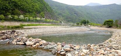 Bandi Hwangto Pension