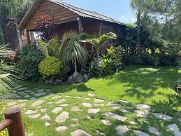 Cabañas la finca 2