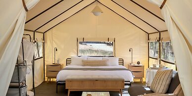 AutoCamp Cape Cod