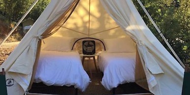 AutoCamp Cape Cod