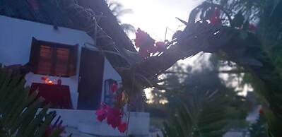 Kilimani Kwetu Beach Hotel