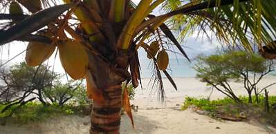 Kilimani Kwetu Beach Hotel