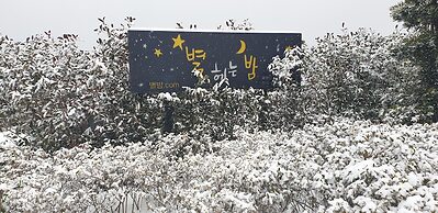 Jeju Starlight Glamping